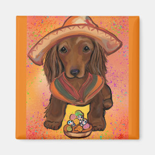Imán Doxie México
