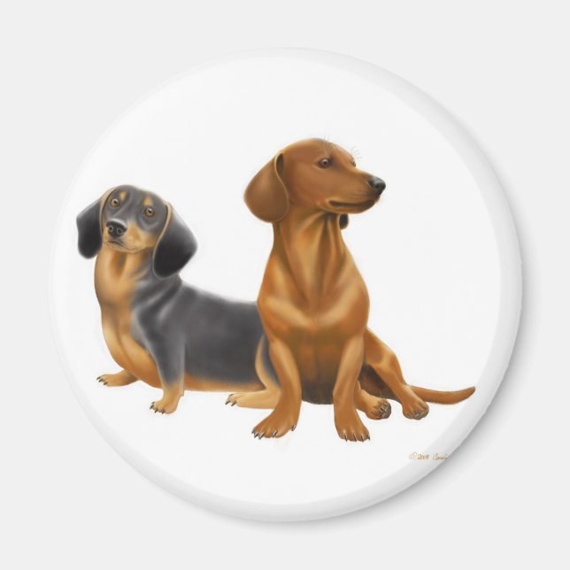 Imán Doxie Wiener Dogs Magnet (Frente)