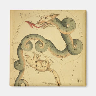 Imán Draco de la impresión de la astronomía del vinta