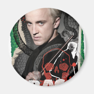 Imán Draco Malfoy 6