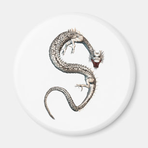 Imán Dragón blanco