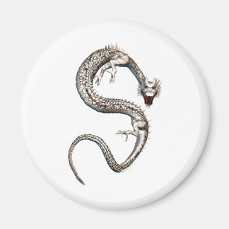 Imán Dragón blanco