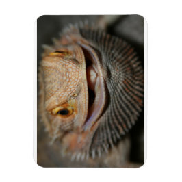 Imán Dragón con barba de personalizable