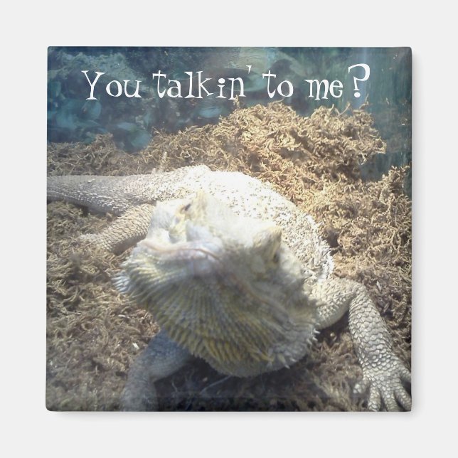 Imán Dragón con las culatas (Frente)