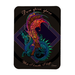 Imán Dragón de estilo Art Nouveau con lema latino