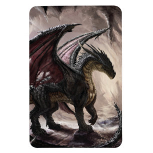Imán Dragón En Cueva