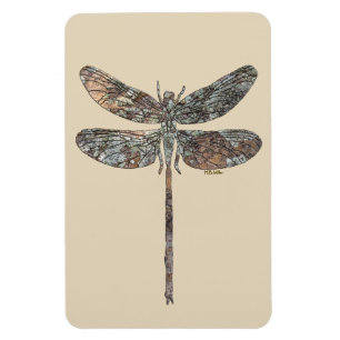 Imán Dragon Fly
