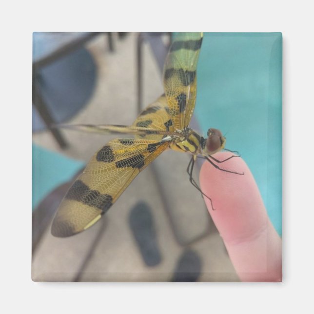 Imán Dragon Fly (Frente)