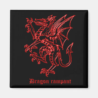 Imán Dragón herálgico medieval