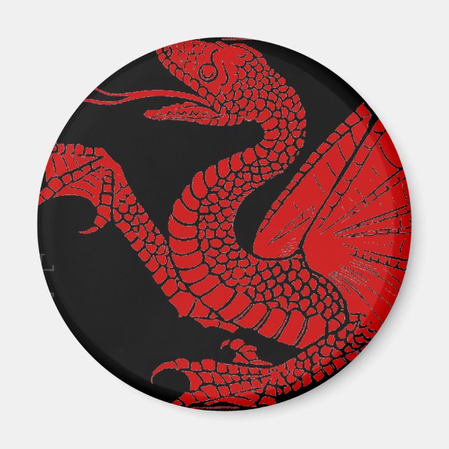 Imán Dragon Magnet (Frente)