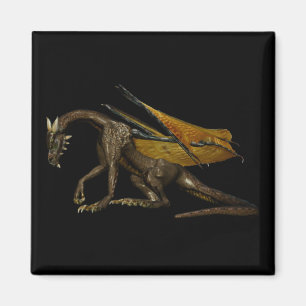 Imán Dragon Magnet