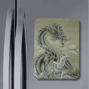 Imán Dragón marino