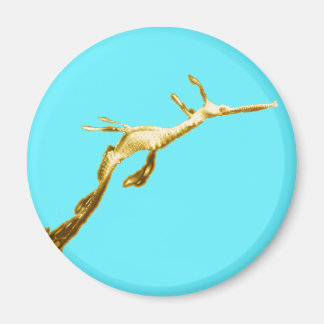 Imán Dragón marino Golden Weedy