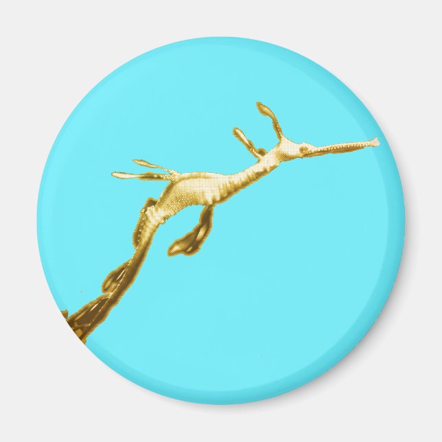 Imán Dragón marino Golden Weedy (Frente)