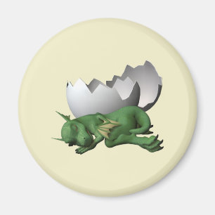 Imán Dragón recién nacido
