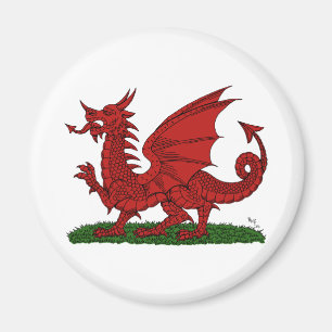 Imán Dragón Rojo de Gales