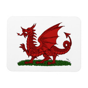 Imán Dragón Rojo de Gales
