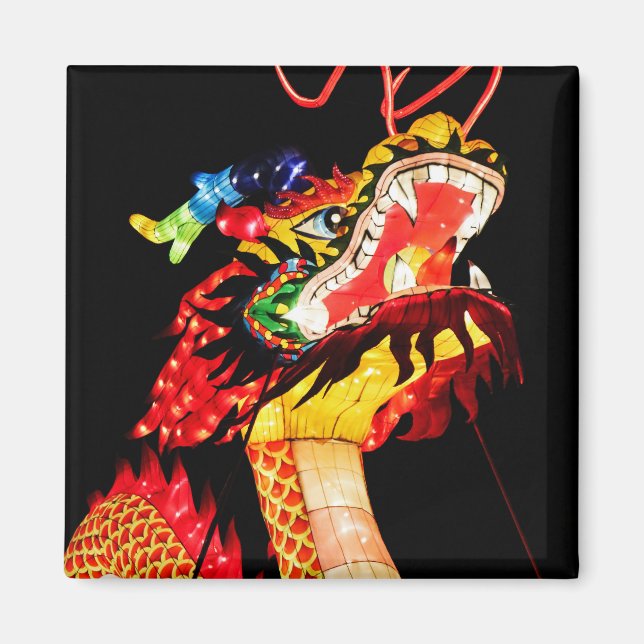 Imán Dragón Tianlong (Frente)
