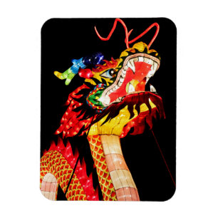 Imán Dragón Tianlong