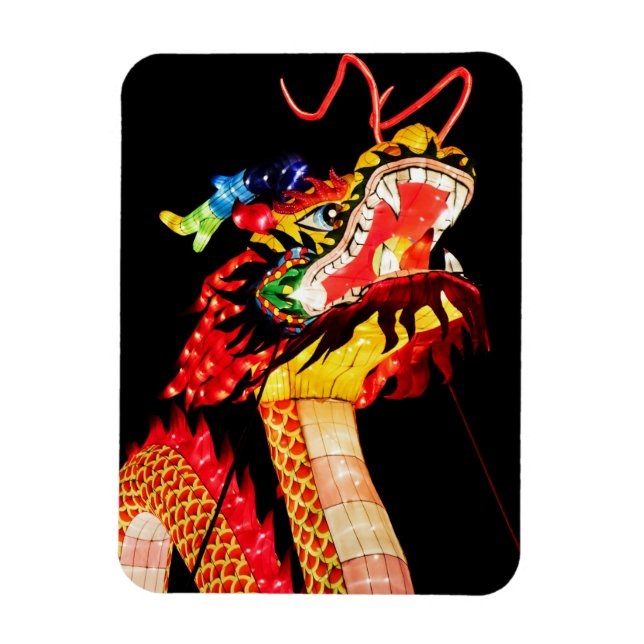 Imán Dragón Tianlong (Vertical)
