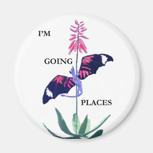 Imán Dragón y cactus