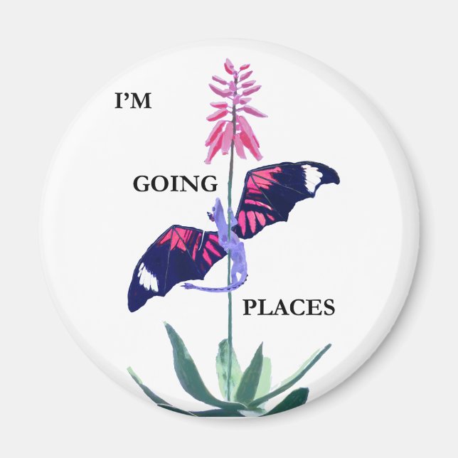 Imán Dragón y Cactus (Frente)