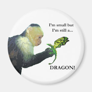 Imán Dragón y mono