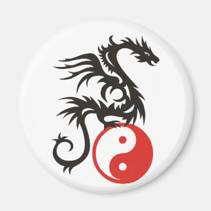 Imán Dragón Yin & Yang