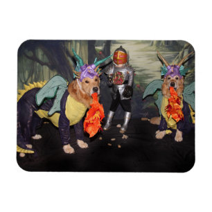 Imán Dragones respiradores de incendios de Golden Retri