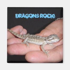 Imán Dragones Roca Mi Mundo