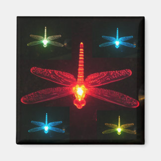 Imán Dragonflies