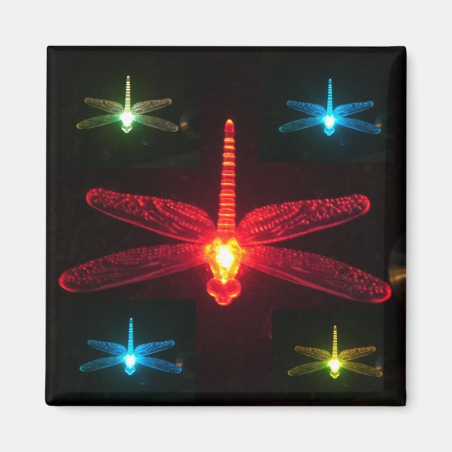 Imán Dragonflies (Frente)