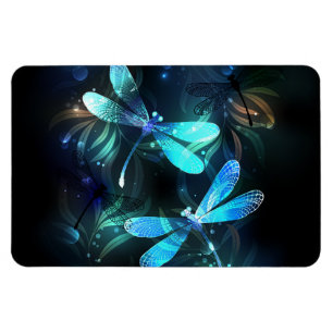 Imán Dragonflies