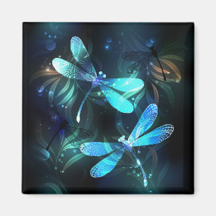Imán Dragonflies