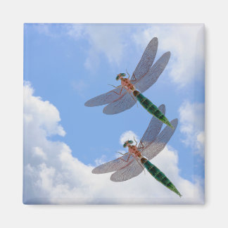 Imán Dragonflies Blue Sky Clouds Nature Magnet