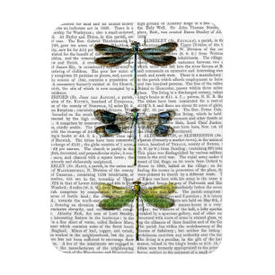 Imán Dragonflies Imprimir 3