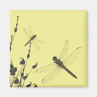Imán Dragonflies in the Grass