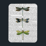Imán Dragonflies Print 3<br><div class="desc">Animales y Naturaleza</div>