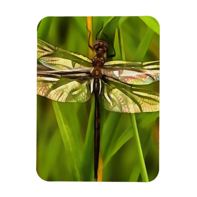 Imán Dragonfly Artificial En Marrón Y Amarillo En Verde (Vertical)