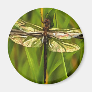 Imán Dragonfly Artificial En Marrón Y Amarillo En Verde