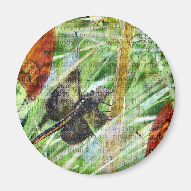 Imán Dragonfly, huye (Frente)