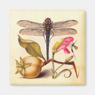 Imán Dragonfly, Pear, Carnación e Insectos
