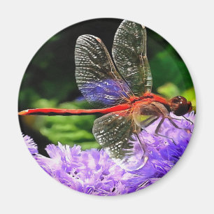 Imán Dragonfly rojo sobre las flores violetas moradas
