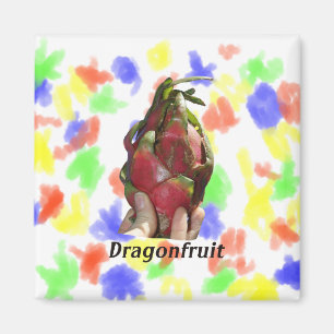 Imán Dragonfruit se sostuvo en dedos con la foto Pitaya
