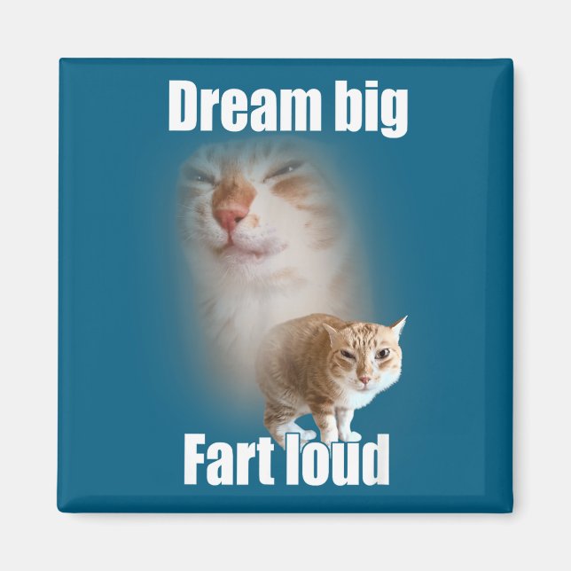 Imán Dream Big Fart Loud Cat Meme Funny Saying  (Frente)