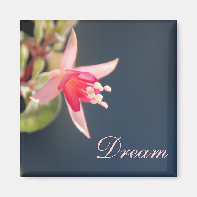 Imán Dream Magnet (Frente)