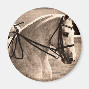 Imán Dressage Grunge