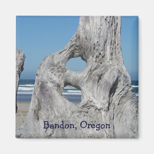 Imán Driftwood de la playa del océano de los regalos de