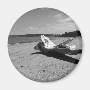 Imán Driftwood Discovery Park