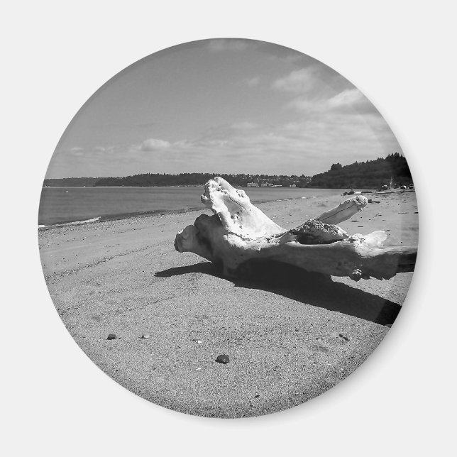 Imán Driftwood Discovery Park (Frente)